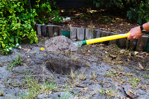 Digging soil with a garden shovel