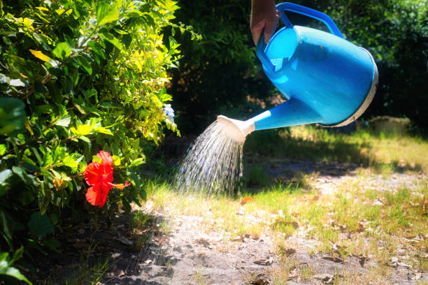 Garden watering can
