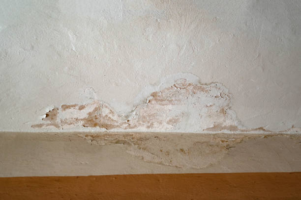 istock Rain water infiltration and leak inside a home building roof 1369327992