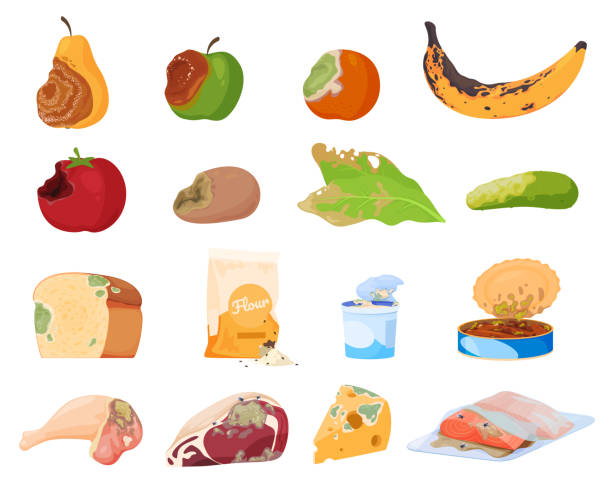 коллекция гнилых ядовитых продуктов векторная иллюстрация. опасность просроченной пищи с плесенью и насекомыми - rotting banana vegetable fruit stock illustrations