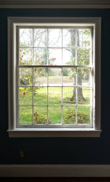 istock House Window Looking out into a Green Yard on a Sunny Day 1369332185