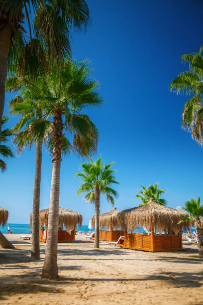 istock Tropical beach in Turkey 1369338391