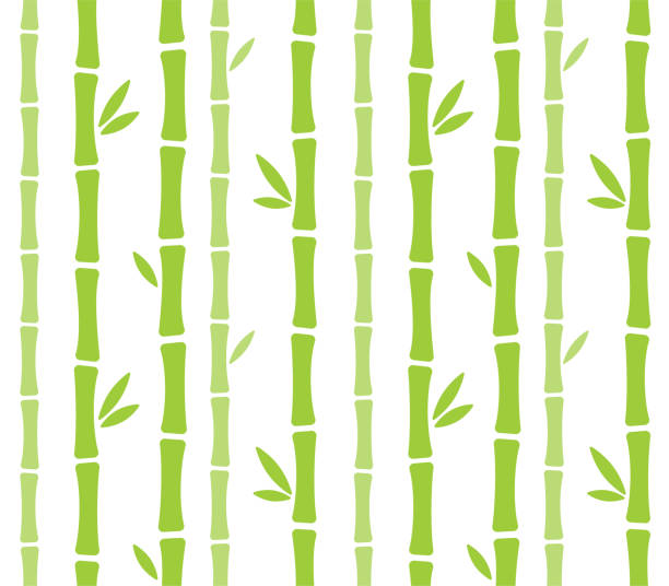 ilustraciones, imágenes clip art, dibujos animados e iconos de stock de patrón de bambú de dibujos animados sin costuras - bamboo bamboo shoot pattern backgrounds