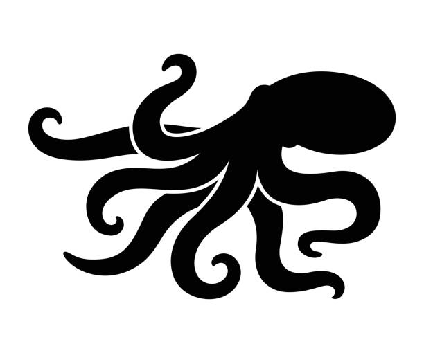 Octopus black silhouette drawing Octopus black silhouette drawing. Simple design for print or logo. Isolated vector illustration. mollusca stock illustrations