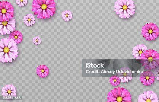 istock Hello spring! Flowers vector design for Mather's day. Happy Mother's day floral greeting card for mom's international celebration. Happy Women's day. Realistic vector flower. background background. 1369341868