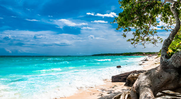 vista na praia paradisíaca da playa blanca na ilha baru ao lado de cartagena, colômbia - baru - fotografias e filmes do acervo