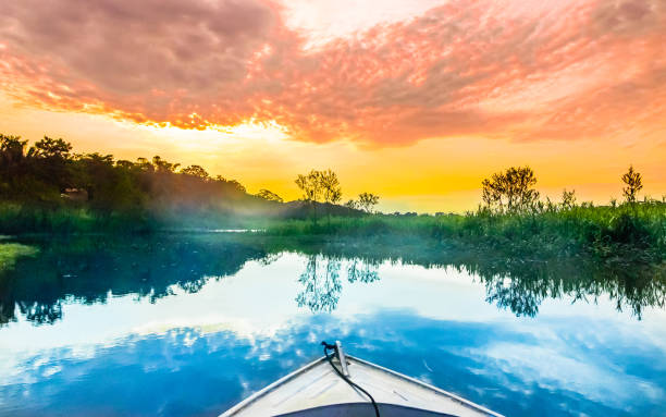 View on boat on Amazon in Brazil
