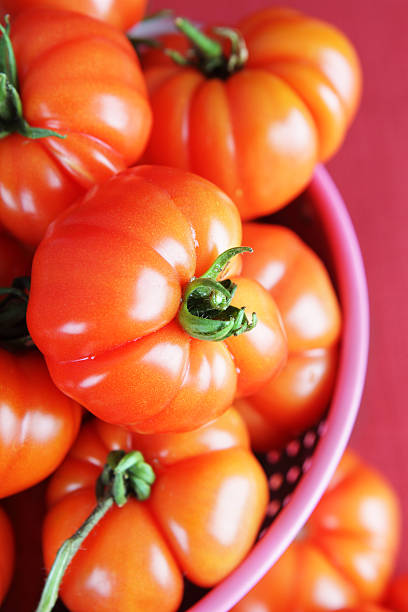 tomate glut - tomato beefsteak tomato heirloom tomato pink fotografías e imágenes de stock