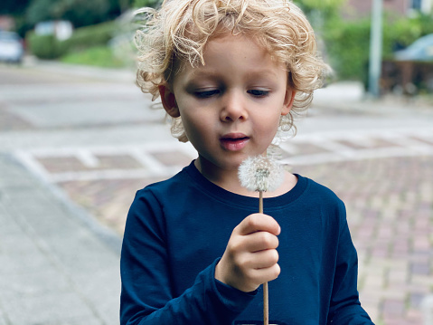 Toddler boy blowing dandelion seed on a summer day