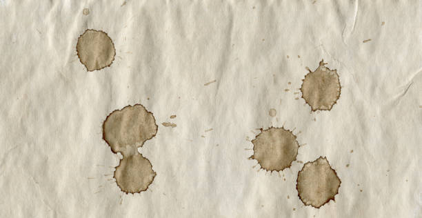 istock Paper texture with stains, creative background for text or banner 1369345687