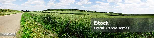 Hertfordshire Beane Valley View Stock Photo - Download Image Now - Cereal Plant, Corn - Crop, England