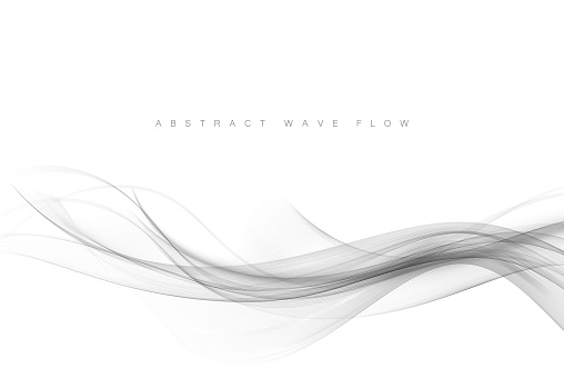 Swoosh wave flow background. Soft smoke pattern abstract smooth gray modern soft layout. Vector illustration