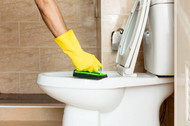 istock Using a plastic brush to scrub the toilet bowl. 1369348303