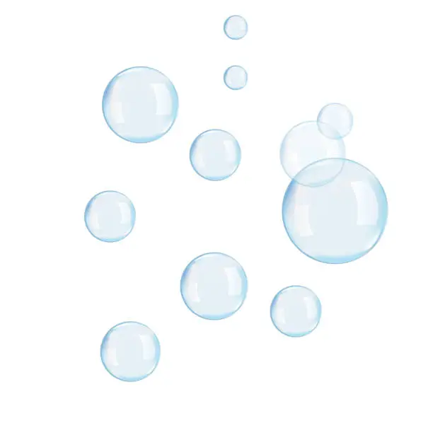 Vector illustration of Transparent water realistic glass bubbles. Bubbles JPG. Vector JPG.