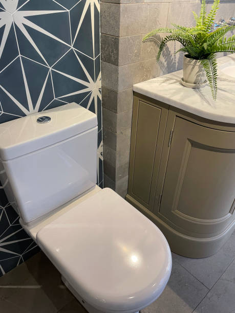 istock Image of modern white luxury bathroom suite with contemporary hexagonal, black and white patterned wall tiles forming a star-shape pattern backdrop behind WC, potted artificial fern plant 1369352353
