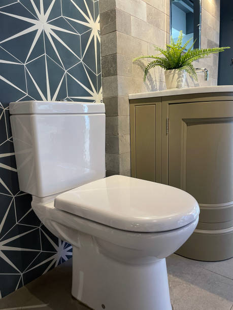 istock Image of modern white luxury bathroom suite with contemporary hexagonal, black and white patterned wall tiles forming a star-shape pattern backdrop behind WC, potted artificial fern plant 1369352363