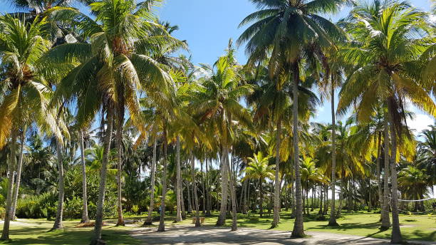 istock Colombia San Andres Island 1369353220
