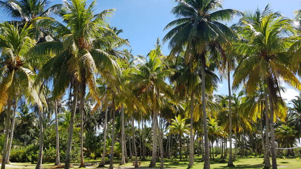 istock Colombia San Andres Island 1369353231
