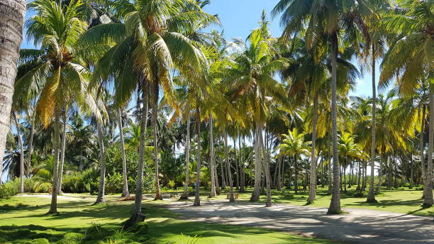 istock Colombia San Andres Island 1369353233