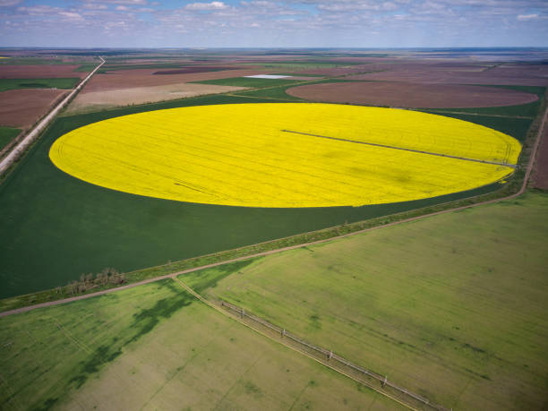 istock Center pivot irrigation system on a yellow rapeseed field aerial view 1369353891
