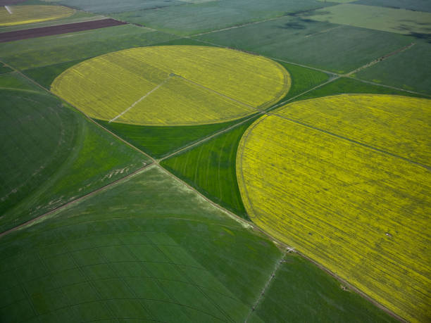 istock Center pivot irrigation system on a yellow rapeseed field aerial view 1369353896