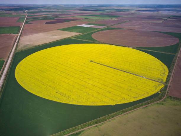 istock Center pivot irrigation system on a yellow rapeseed field aerial view 1369353907