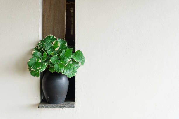 istock Interior home decor on a shelf green Vases plants on white bathroom wall background. Modern summer lifestyle resort beige wallpaper. Elegant lifestyle scene. Mantel light elements floral leaf concept. 1369354112