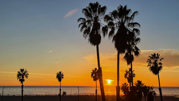 istock Sunset over water in Marina del Rey, CA 1369355042