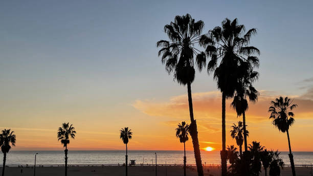 istock Sunset over water in Marina del Rey, CA 1369355043