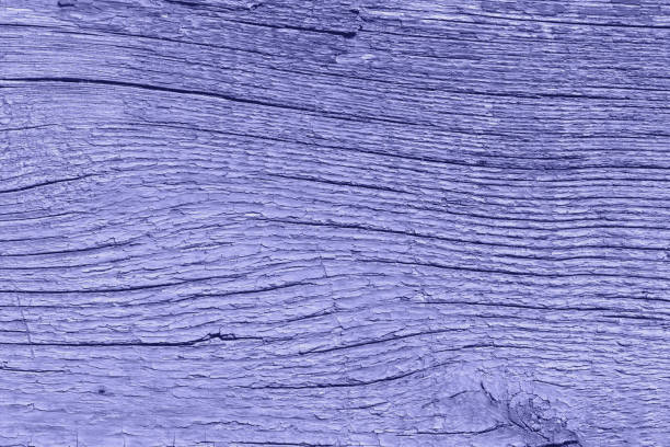Trendy very peri color of the year 2022, violet weathered wooden background with cracked paint