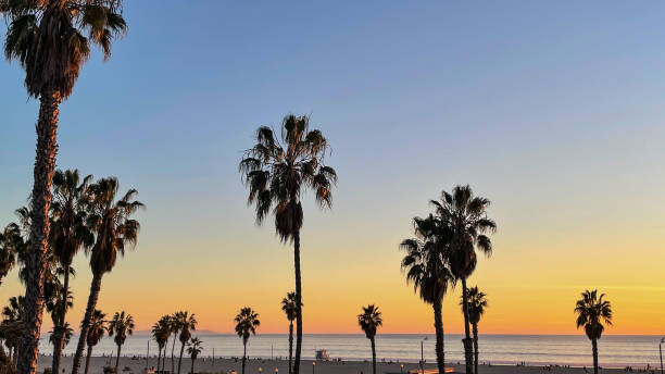 istock Sunset over water in Marina del Rey, CA 1369355053