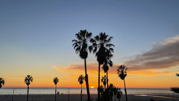 istock Sunset over water in Marina del Rey, CA 1369355057