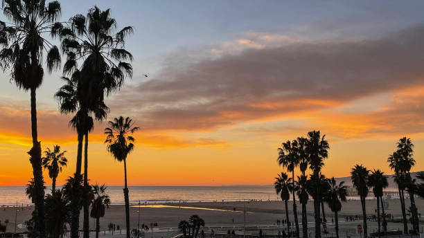 istock Sunset over water in Marina del Rey, CA 1369355073