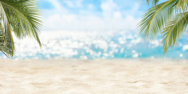 istock Natural tropical seascape with palm tree, summer beach background. Blurred bokeh sun light of calm sea. Travel vacation panoramic view concept 1369355212