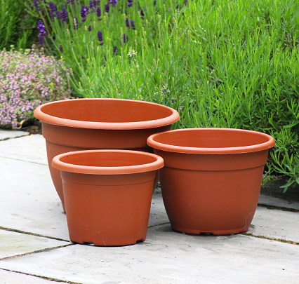 A group of plastic plant pots