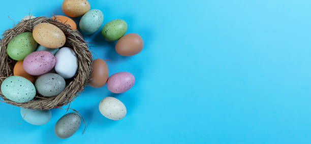 istock Colorful Easter eggs and nest on sky blue background 1369357499