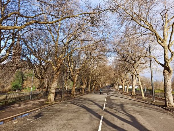 istock Empty street during sunny winter at glasgow Scotland england uk 1369358794