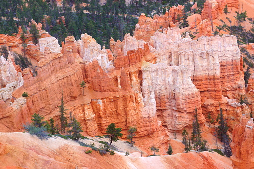 Bryce canyon National Park stunning landscape in Utah, USA. Bryce Canyon in Southwestern Utah is famous for the largest collection of hoodoos the distinctive rock formations. Iron-rich, limy sediments  became the red rocks of the Claron Formation from which the hoodoos are carved.