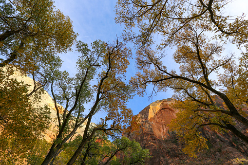 Autumn colors in southwest Utah