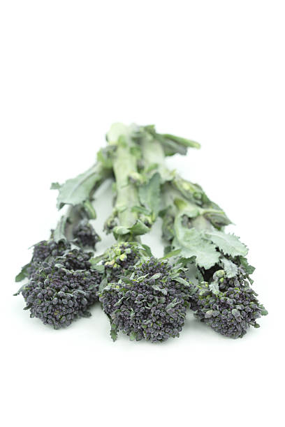 istock purple sprouting broccoli,brassica olericea 136936254