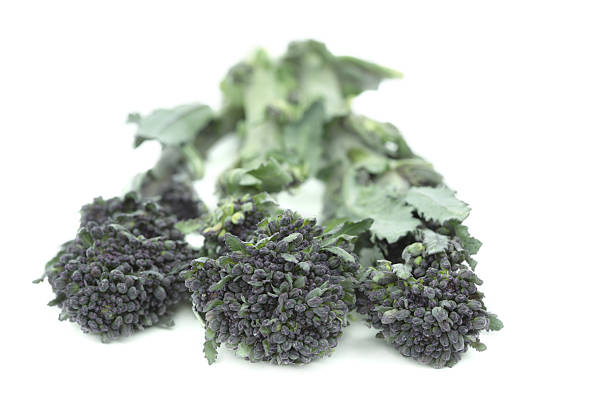 istock Purple Sprouting Broccoli, Brassica olericea 136936258