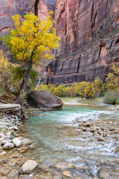 istock Virgin River in Zion National Park, Utah 1369363780