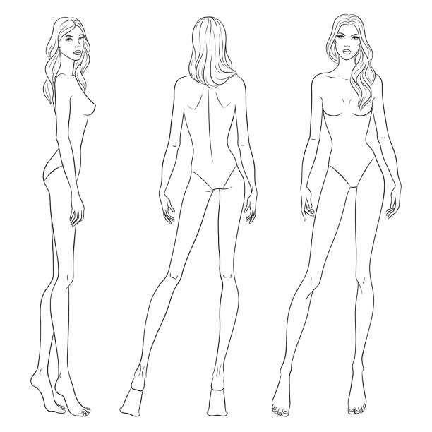 Female body templates Beautiful slim women. Fashion models posing, vector sketch illustration.  Nine head fashion figure templates. catwalk fashion show fashion swimwear stock illustrations