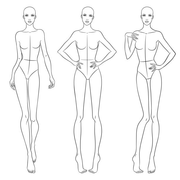 illustrazioni stock, clip art, cartoni animati e icone di tendenza di modelli di corpo femminile - mannequin