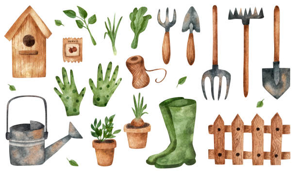 illustrazioni stock, clip art, cartoni animati e icone di tendenza di attrezzi da giardino. set di acquerelli. - shovel trowel dirt plant