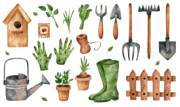 정원 도구. 수채화 세트. - shovel trowel dirt plant stock illustrations