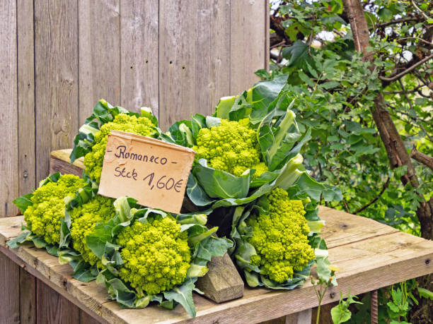 Wooden display of a farm store in Schleswig-Holstein in which Romanesco is offered for sale stock photo