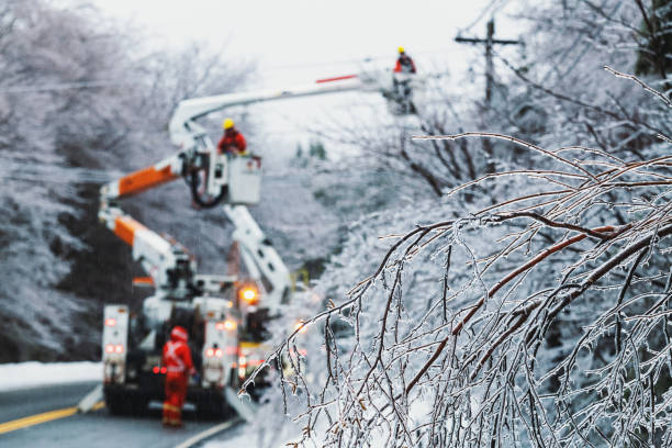 氷の嵐の間に電力を回復する - frozen branches ストックフォトと画像