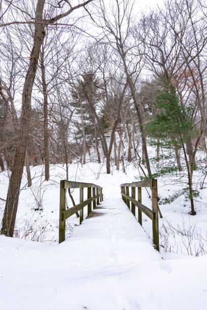istock Bridge over the frozen creek 1369375304