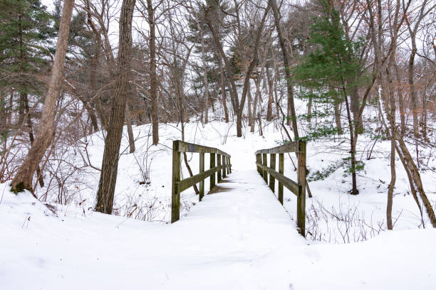 istock Bridge over the frozen creek 1369375308